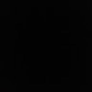 Meet your Posher, Eva